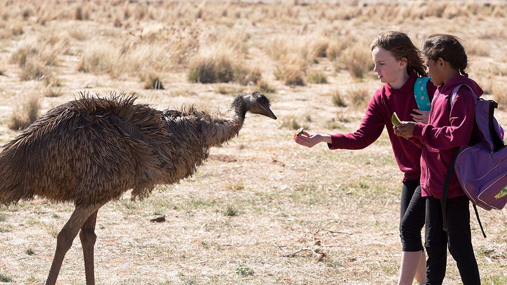 emu runner australia